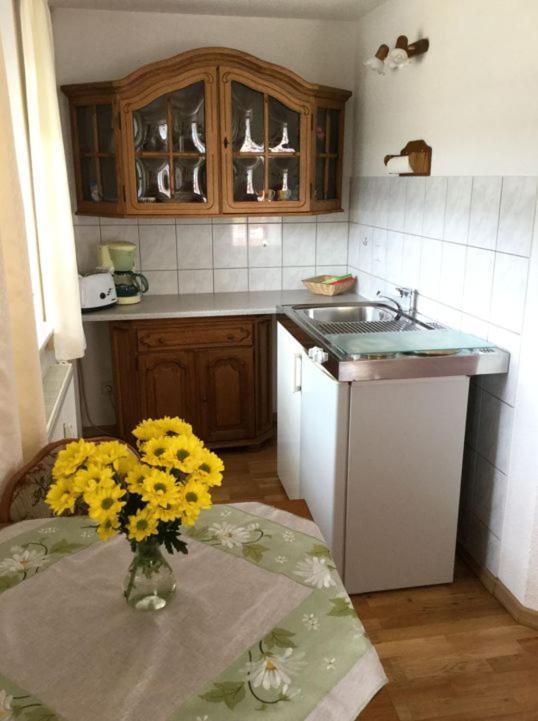 Pension Elblinge Apartamento Prossen Exterior foto