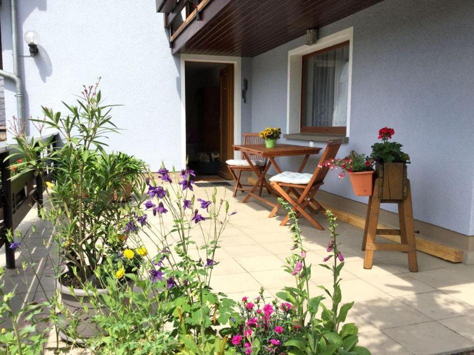 Pension Elblinge Apartamento Prossen Exterior foto
